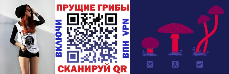 Галлюциногенные грибы Cubensis  как найти   Лысьва 