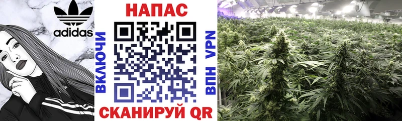 Бошки марихуана SATIVA & INDICA  Лысьва 